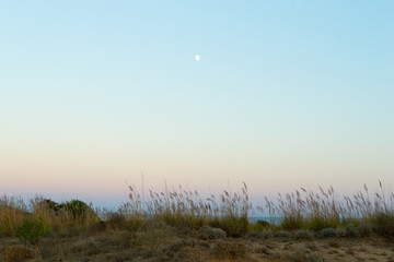 sunset over a large sandy beach