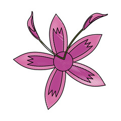 Beautiful flowers symbol