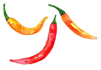 Set of watercolor drawings of chili peppers on white