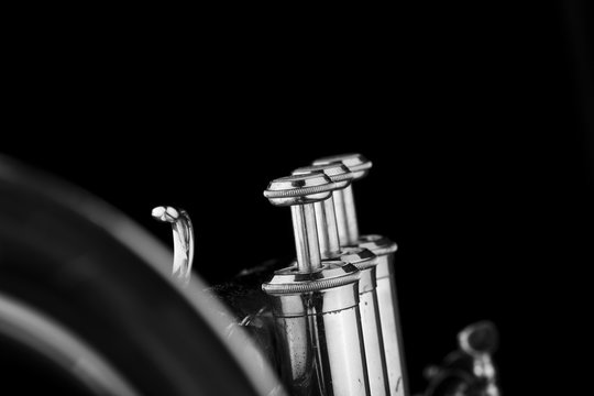 Trumpet on Black