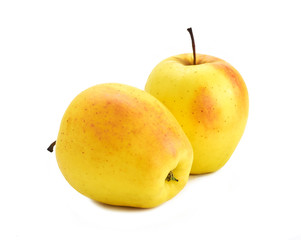 two yellow apples on a white background