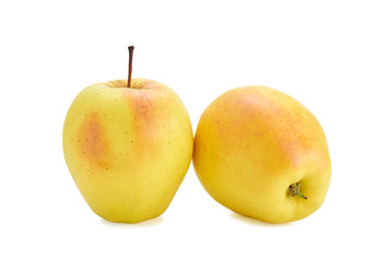 two yellow apples on a white background