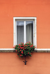 Fototapeta na wymiar White window with flowers.