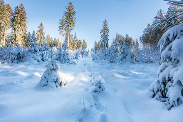 winterlandschaft