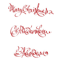 Merry Christmas / Handwritten calligraphy, banner, title