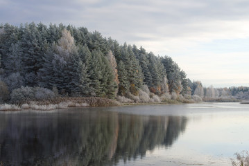 October morning frost on the forest lake. Pskov region, Russia