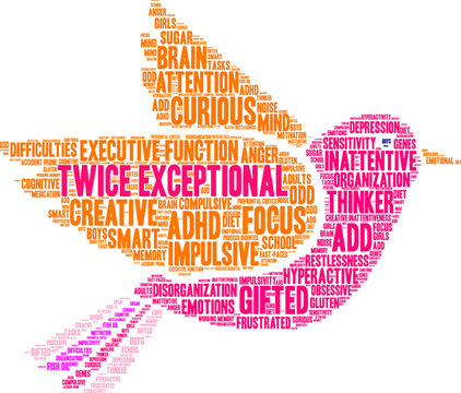 Twice Exceptional ADHD Word Cloud On A White Background. 