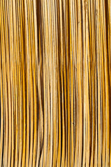 in oman abstract  texture of a bamboo wall background