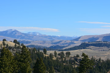 Range, trees and mountains