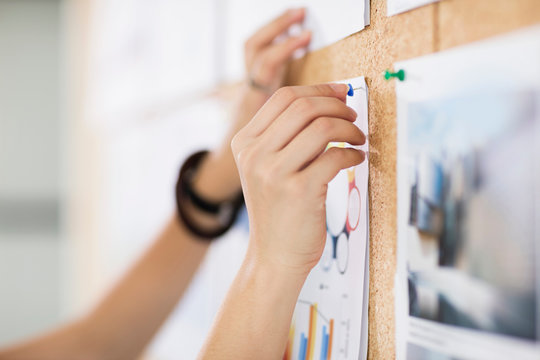 Woman pinning up colour charts and graphs