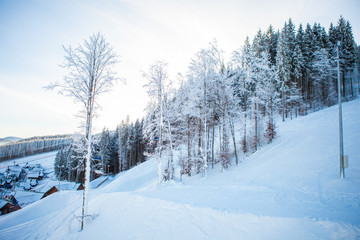 View of beautiful snowy mountains, forests