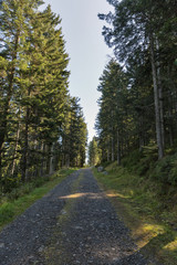 Alpine road in Western Carinthia, Austria.