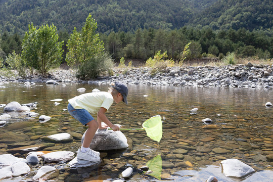 Boy fishing with hoop net