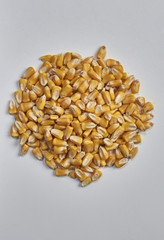 corn isolated
