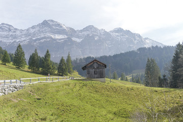 Obraz premium Beautiful view of valley mountain Saentis, Switzerland