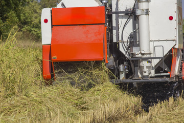 Thailand Combine harvesters working rice field back view