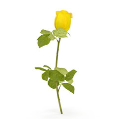 Single beautiful yellow rose isolated on white. 3D illustration