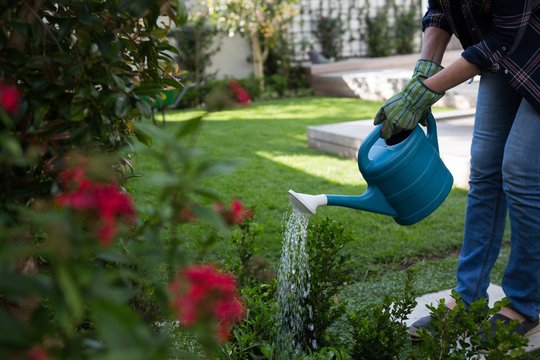 Low Section Of Woman Watering Plants In Garden