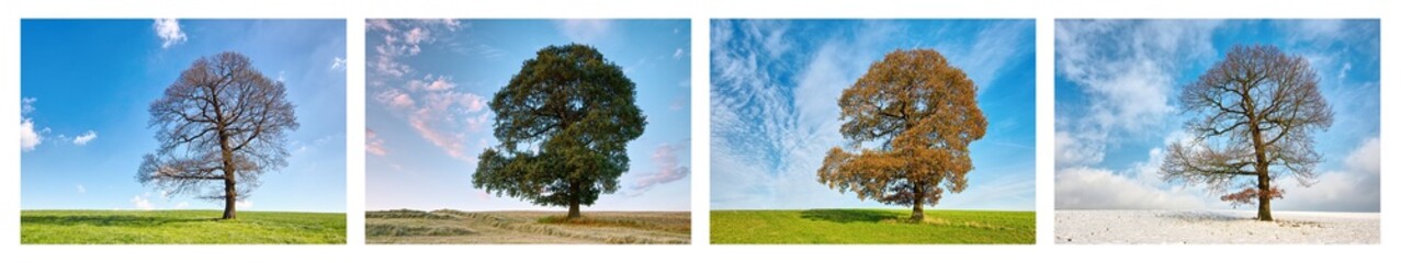 Vier Jahreszeiten - Collage