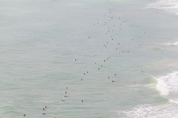 Surfers in Costao do Santinho beach