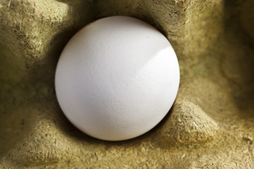 Organic egg in a box made of grass