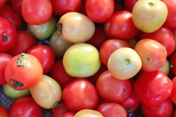 tomatoes at the market