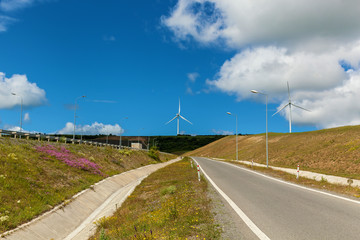 Modern windmills produce electricity along the roads of Georgia, wind turbines along the road, power turbines of green energy along the road