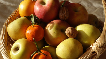 Naklejka na ściany i meble Fruits d'automne