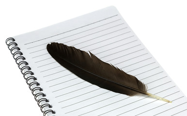 Book blank page and feather