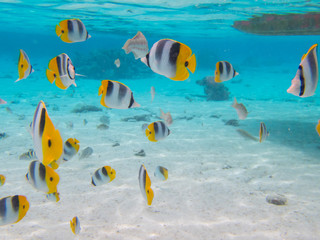 Baignade dans le lagon