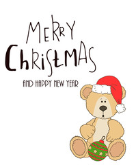 teddy with christmas hat and gift box
