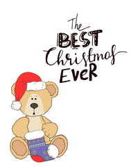 teddy with christmas hat and gift box