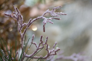artificial beautiful festive decoration