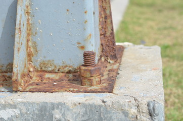 Rust on nut.