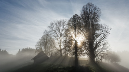 Die Sonne kämpft sich durch den morgendlichen Herbstnebel in Trachselwald im Emmental