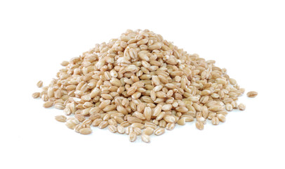 pearls barley grain seed on background