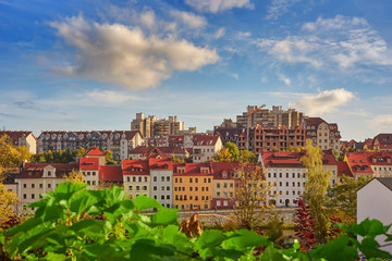 Obraz premium View of colorful townhouses and other buildings of the city. In the foreground, the blurred green leaves of the vine