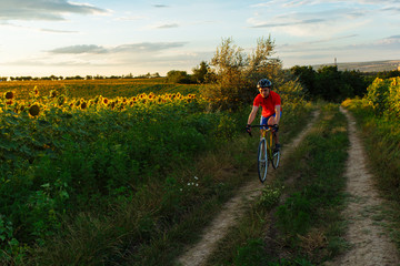 Fototapeta premium The cyclist in red blue form goes along fields of sunflowers. In background a beautiful blue sky.