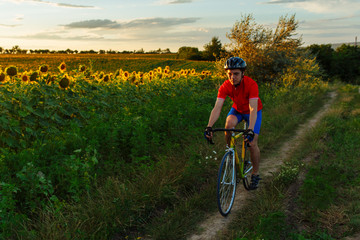The cyclist in red blue form goes along fields of sunflowers. In background a beautiful blue sky.