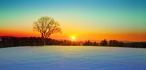 Winter sunset landscape with tree and snow.