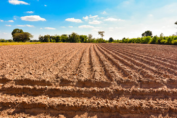 Plowing soil for cassava Economic crops in the Northeast of Thailand.
