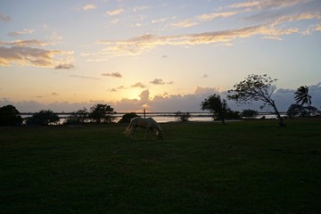 Sonnenuntergang in einer Lagune in Santa Lucia auf Kuba, Karibik