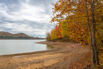 Naklejka na ściany i meble Autumn season at lake with beautiful forest on overcast day