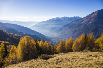 Autumn landscape in Valtellina in Italy.