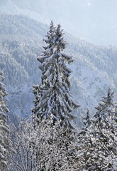 Eckbauer mountain near Garmisch-Partenkirchen. Germany