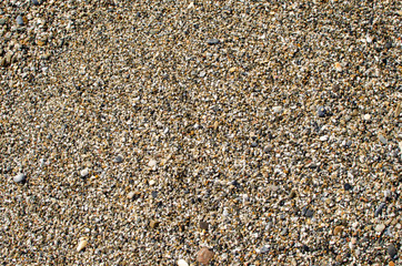 Colorful sea stones background. Colorful pebbles texture