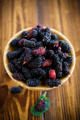 Ripe berry of black mulberry