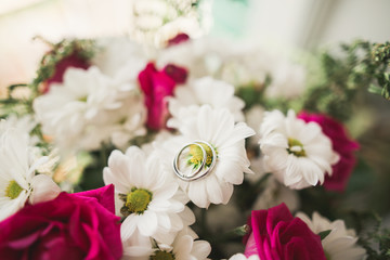 Two golden wedding rings isolated background concept