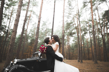 Fototapeta premium Just married couple in the luxury retro car on their wedding day