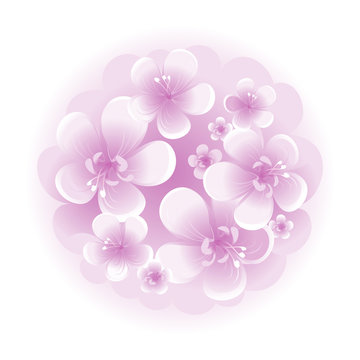 Bouquet of Purple Violet flowers isolated on white background. Apple-tree flowers. Cherry blossom. Vector